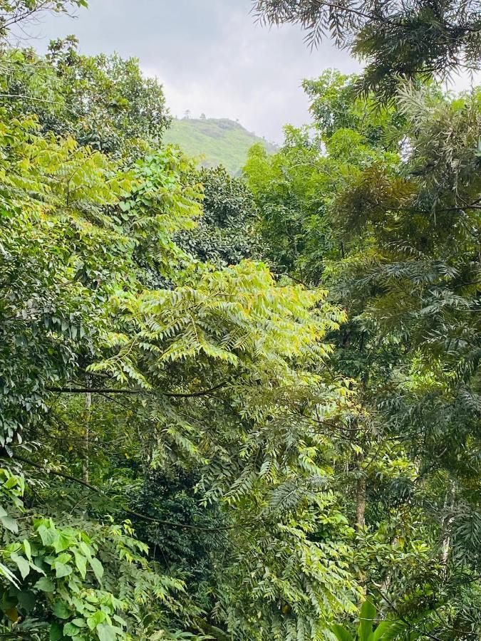 Kurinjiyil Farm Stay مونار المظهر الخارجي الصورة